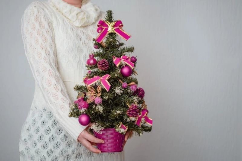 closeup woman holding tiny tree