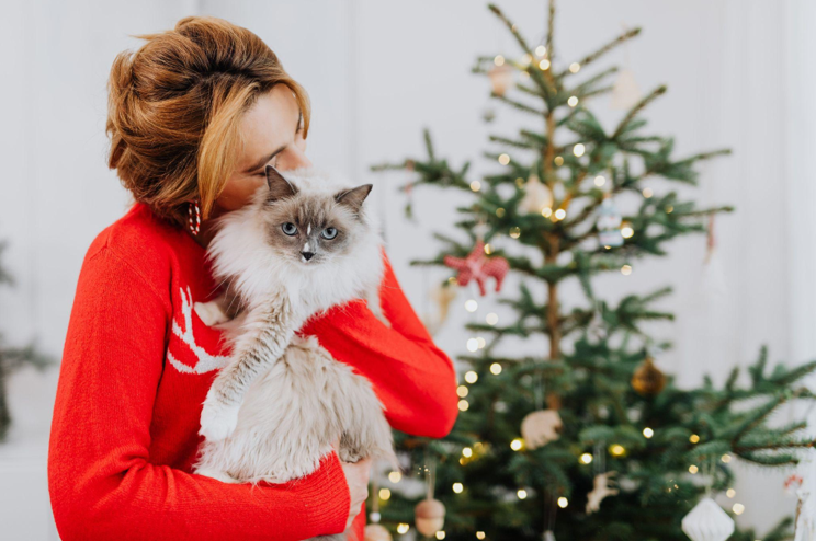 King of Christmas: Your One-Stop Shop for Artificial Pre-Lit Trees and Speed Dating Outfit Inspiration