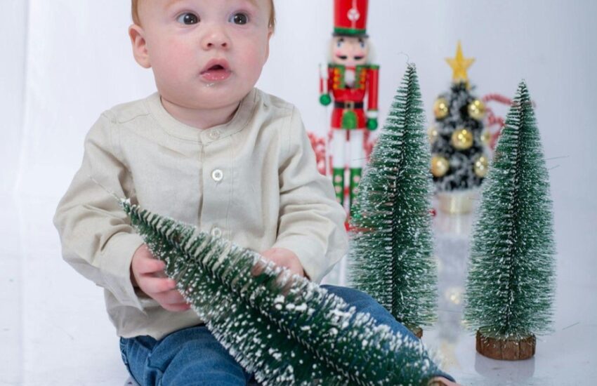 How to Choose the Perfect Christmas Tree